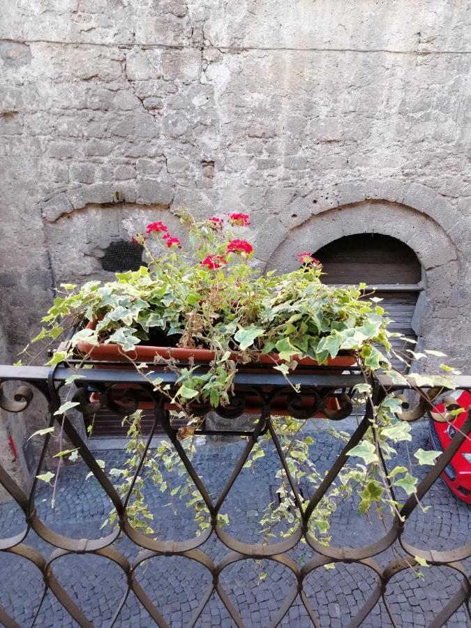 Alla Cava Orvieto Buitenkant foto